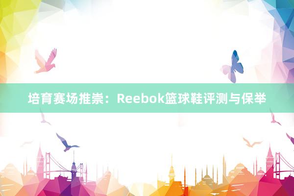 培育赛场推崇：Reebok篮球鞋评测与保举